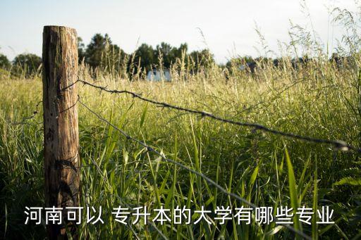 河南可以 專升本的大學有哪些專業(yè)