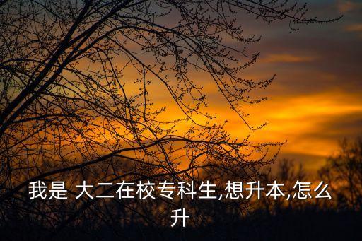 我是 大二在校?？粕?想升本,怎么升