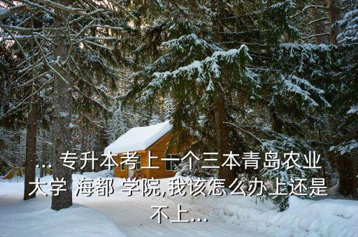 ... 專升本考上一個三本青島農(nóng)業(yè)大學(xué) 海都 學(xué)院,我該怎么辦上還是不上...