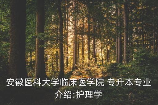 安徽醫(yī)科大學(xué)臨床醫(yī)學(xué)院 專升本專業(yè)介紹:護(hù)理學(xué)