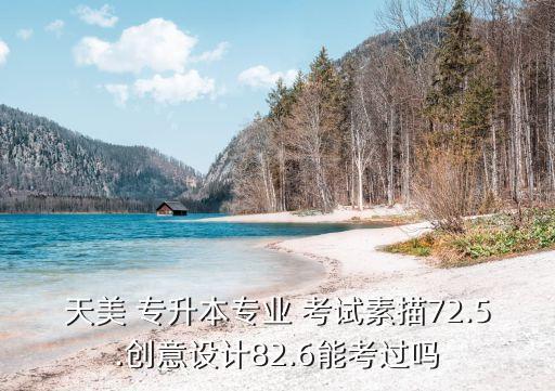天美 專升本專業(yè) 考試素描72.5.創(chuàng)意設(shè)計82.6能考過嗎