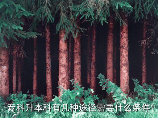 ?？粕究朴袔追N途徑需要什么條件
