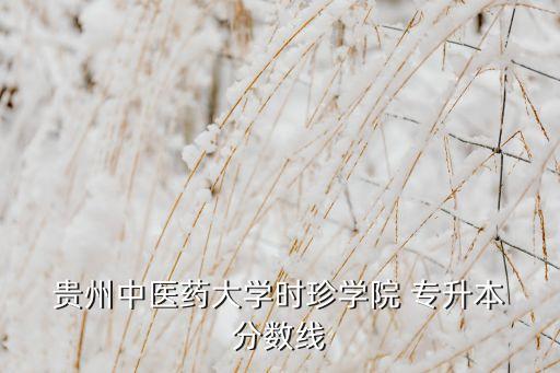  貴州中醫(yī)藥大學時珍學院 專升本 分數(shù)線