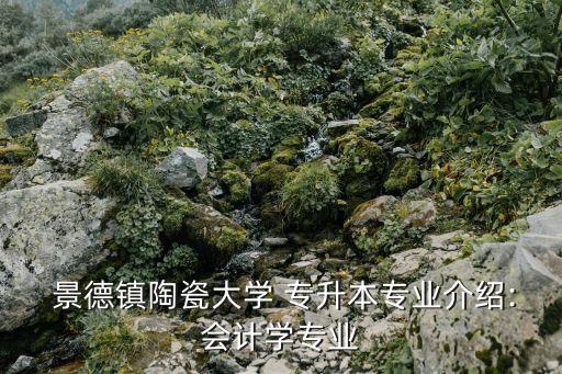 景德鎮(zhèn)陶瓷大學(xué) 專升本專業(yè)介紹:會(huì)計(jì)學(xué)專業(yè)