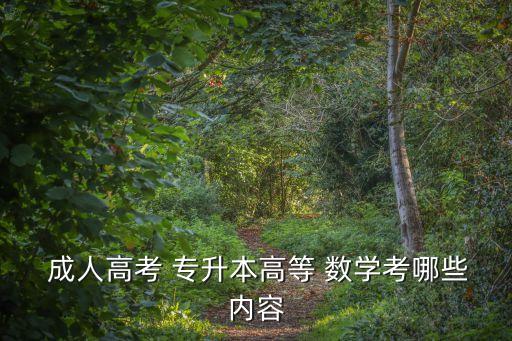  成人高考 專(zhuān)升本高等 數(shù)學(xué)考哪些內(nèi)容
