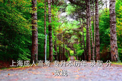 上海成人高考 專升本歷年 錄取 分數(shù)線