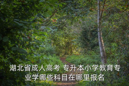  湖北省成人高考 專升本小學教育專業(yè)學哪些科目在哪里報名