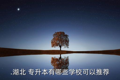 .湖北 專升本有哪些學(xué)?？梢酝扑]
