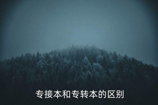  專接本和專轉本的區(qū)別