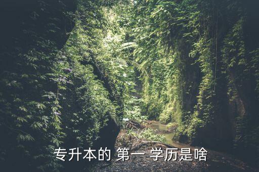 專升本后的第一學歷是什么,全日制?？茖Ｉ竞蟮牡谝粚W歷是什么