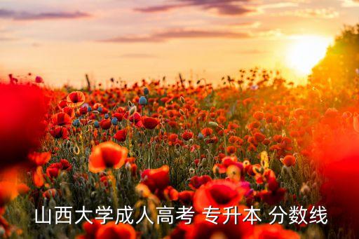  山西大學成人高考 專升本 分數(shù)線