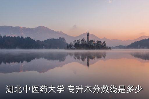 湖北中醫(yī)藥大學(xué) 專(zhuān)升本分?jǐn)?shù)線是多少