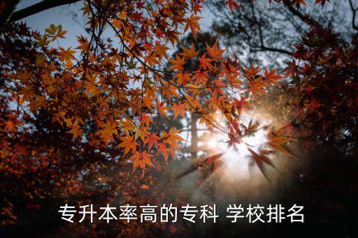  專升本率高的?？?學(xué)校排名