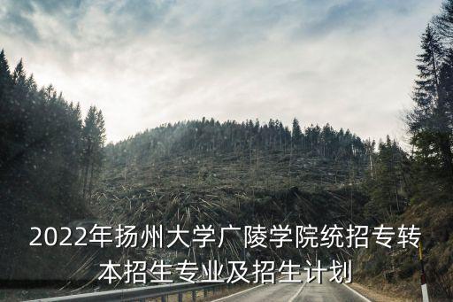 2022年揚(yáng)州大學(xué)廣陵學(xué)院統(tǒng)招專轉(zhuǎn)本招生專業(yè)及招生計(jì)劃
