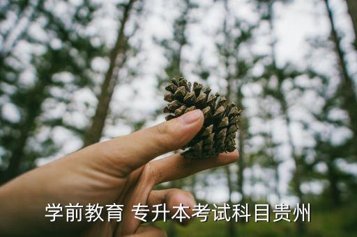 學前教育 專升本考試科目貴州