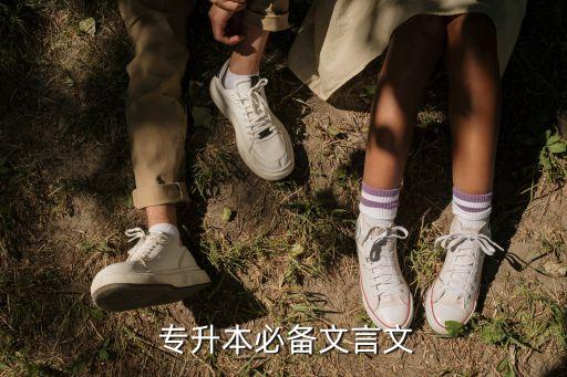 2014專升本語(yǔ)文