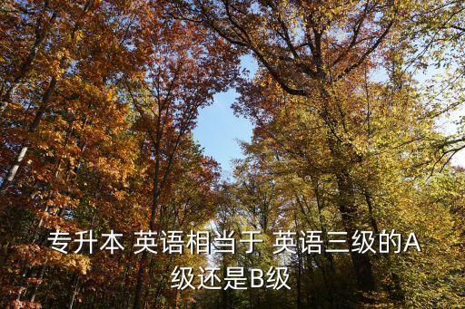專升本英語考試級數(shù)