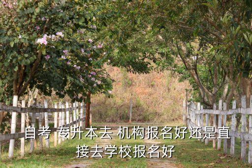 自考專升本一定要選機(jī)構(gòu)嗎