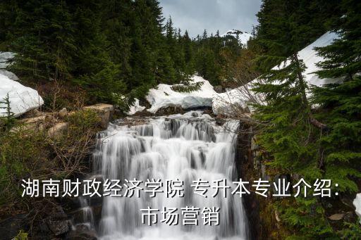 專升本管理基礎學視頻,生態(tài)基礎學專升本試卷