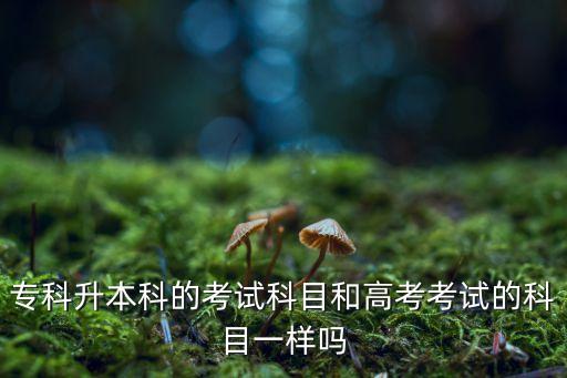 專科升本科的考試科目和高考考試的科目一樣嗎
