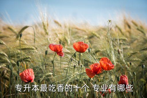  專升本最吃香的十個 專業(yè)有哪些