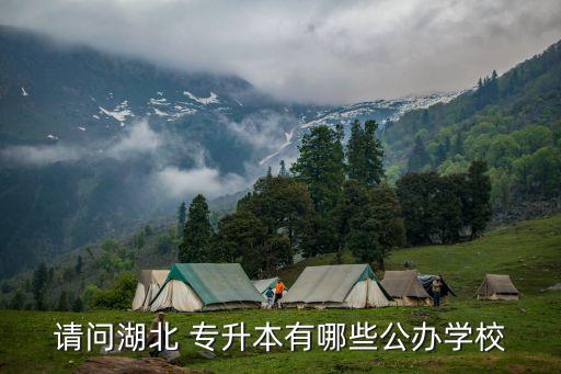 請(qǐng)問(wèn)湖北 專升本有哪些公辦學(xué)校