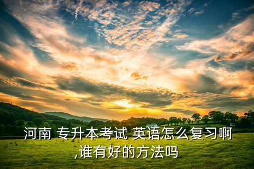  河南 專升本考試 英語怎么復習啊,誰有好的方法嗎