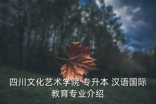 四川文化藝術(shù)學(xué)院 專升本 漢語國際教育專業(yè)介紹