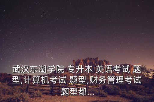 武漢東湖學(xué)院 專升本 英語(yǔ)考試 題型,計(jì)算機(jī)考試 題型,財(cái)務(wù)管理考試 題型都...