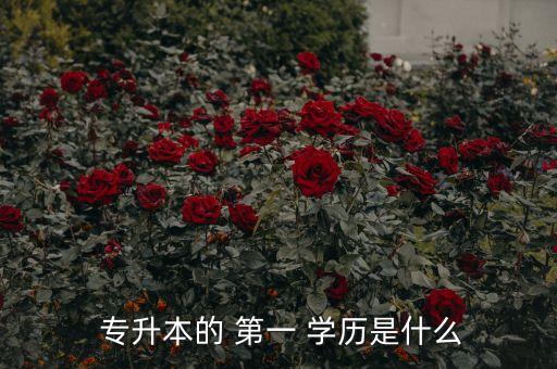  專升本的 第一 學歷是什么