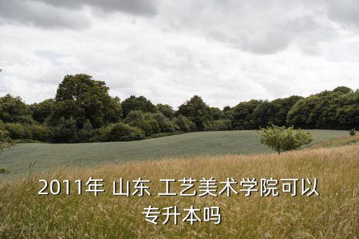 2011年 山東 工藝美術學院可以 專升本嗎