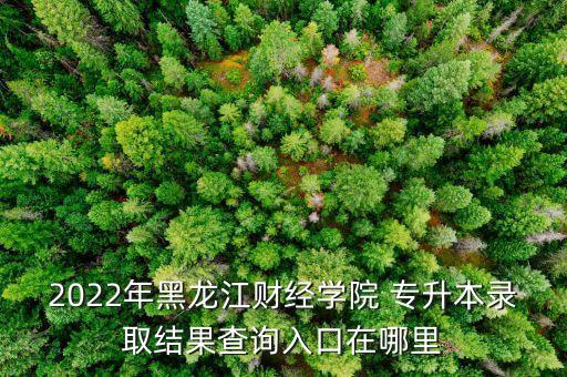2022年黑龍江財經(jīng)學院 專升本錄取結果查詢入口在哪里