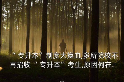 專升本學生招飛,學生招飛有什么待遇