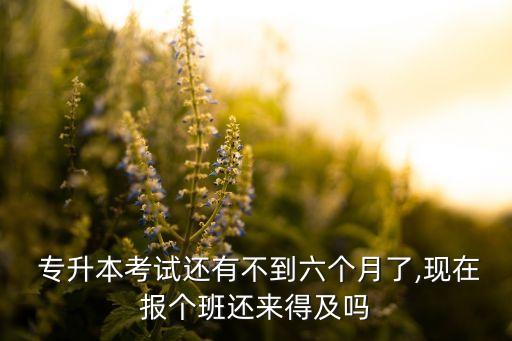  專升本考試還有不到六個(gè)月了,現(xiàn)在報(bào)個(gè)班還來(lái)得及嗎