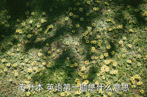  專升本 英語(yǔ)第一題是什么意思