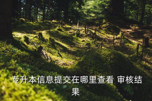 專升本學籍審核,湖北專升本學籍證明審核未通過