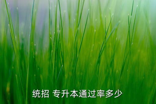 統(tǒng)招 專升本通過率多少