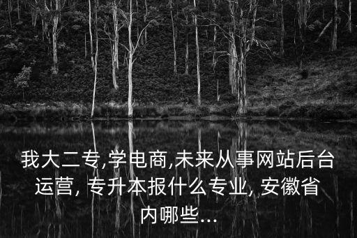 我大二專,學電商,未來從事網(wǎng)站后臺運營, 專升本報什么專業(yè), 安徽省內(nèi)哪些...