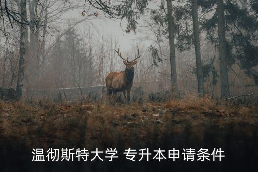 溫徹斯特大學(xué) 專(zhuān)升本申請(qǐng)條件