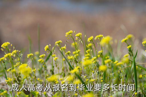 成人高考從報(bào)名到畢業(yè)要多長(zhǎng)時(shí)間