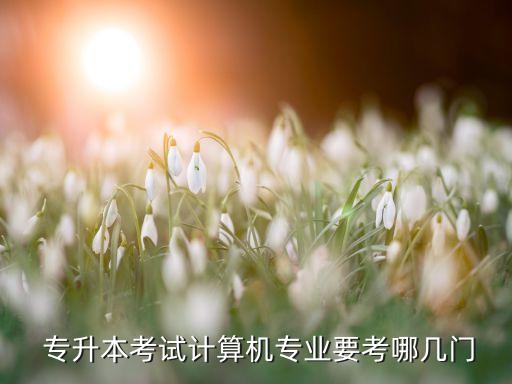  專升本考試計(jì)算機(jī)專業(yè)要考哪幾門
