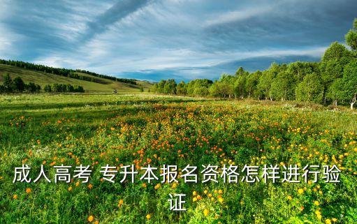 成人高考 專(zhuān)升本報(bào)名資格怎樣進(jìn)行驗(yàn)證