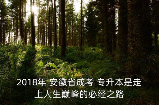 2018年 安徽省成考 專(zhuān)升本是走上人生巔峰的必經(jīng)之路