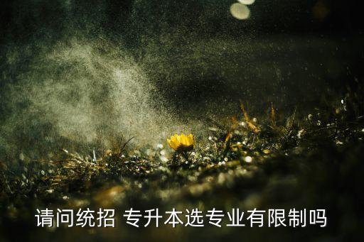 請問統(tǒng)招 專升本選專業(yè)有限制嗎