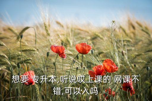 想要 專升本,聽說哎上課的 網(wǎng)課不錯,可以入嗎