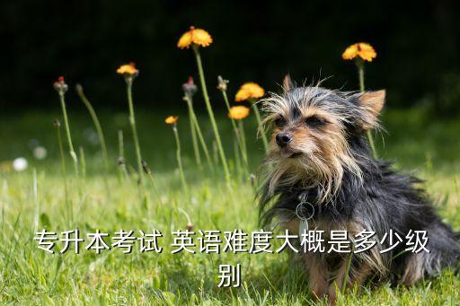  專升本考試 英語難度大概是多少級別