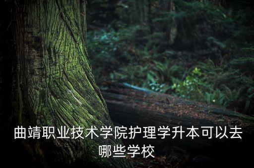  曲靖職業(yè)技術(shù)學(xué)院護理學(xué)升本可以去哪些學(xué)校