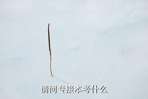 請(qǐng)問(wèn)專接本考什么