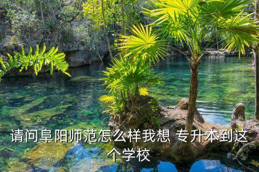 請(qǐng)問(wèn)阜陽(yáng)師范怎么樣我想 專升本到這個(gè)學(xué)校