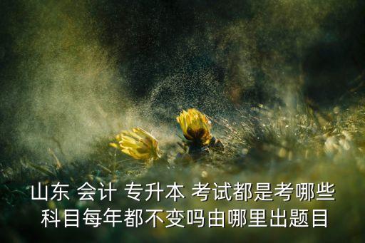 會計專升本考試科目有哪些山東省的